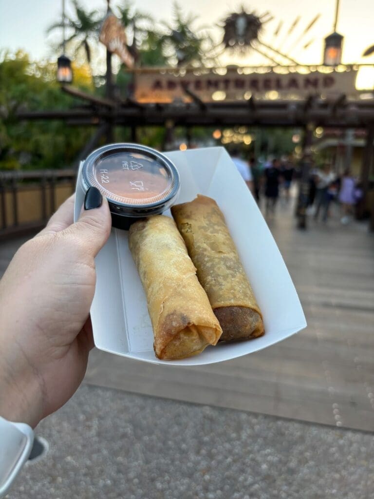 Cheeseburger spring rolls.